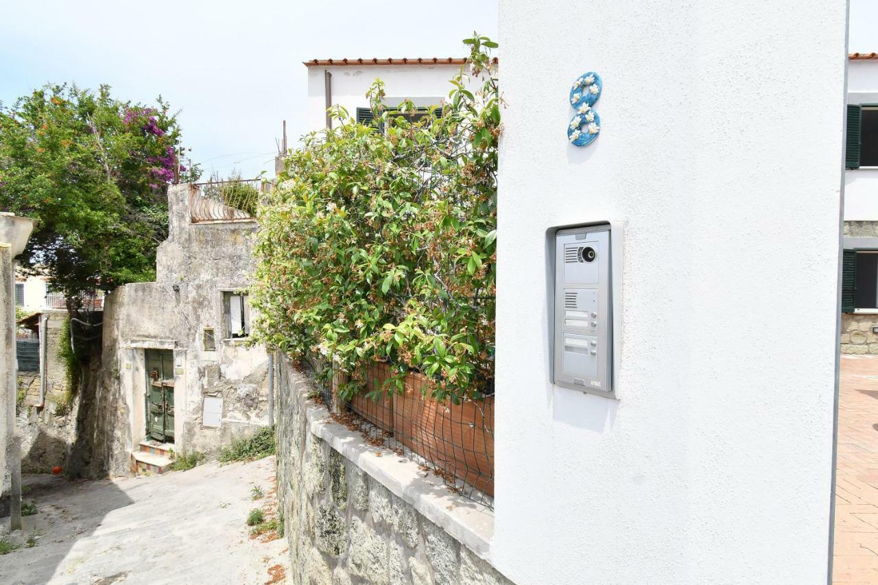 Casa Partenope Βίλα Forio di Ischia Εξωτερικό φωτογραφία